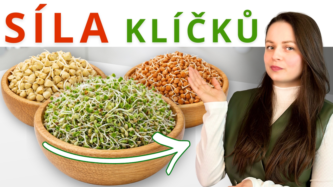 Pouhé 2 druhy klíčků: LEPŠÍ TRÁVENÍ a více železa PŘIROZENĚ